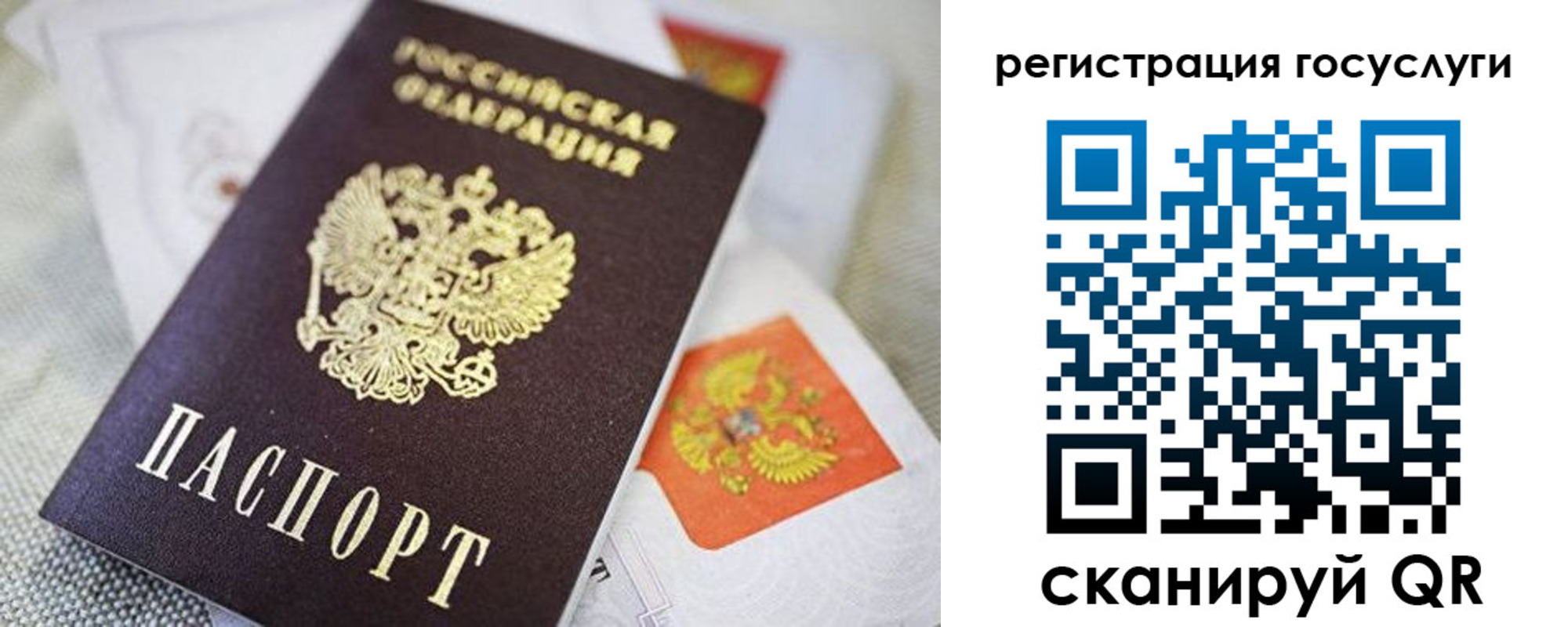 прописка паспорт в Краснодаре